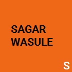 Sagar Wasule